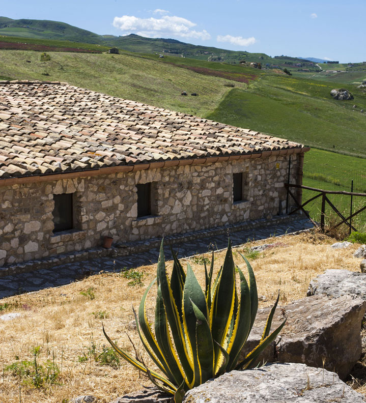 Agriturismo Terre di Corleone
