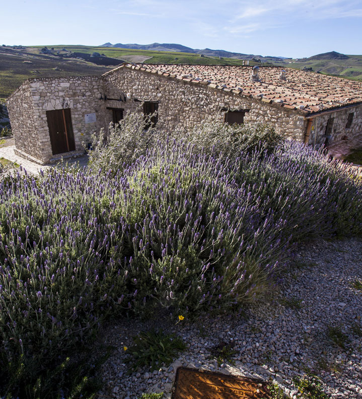 Agriturismo Terre di Corleone