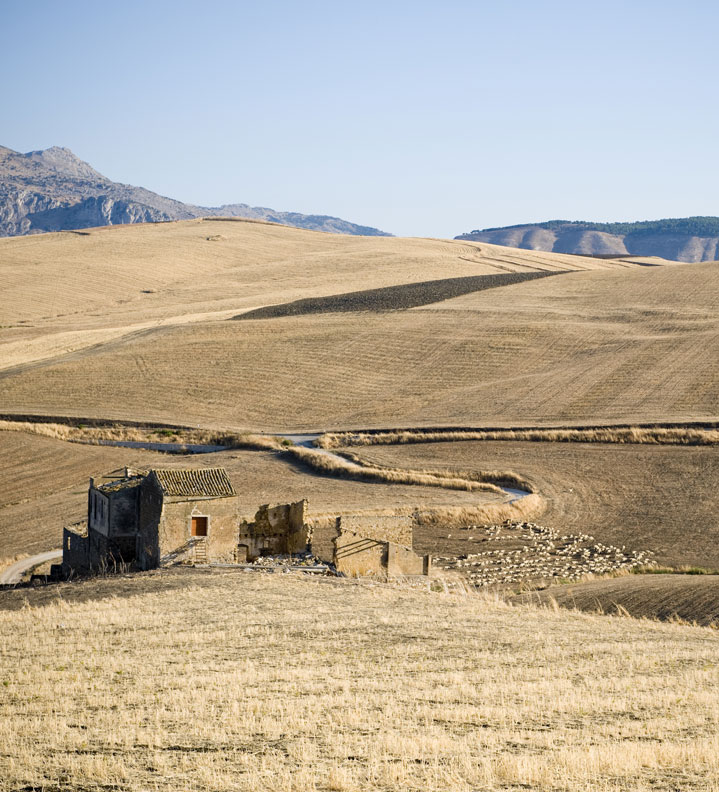 Agriturismo Terre di Corleone